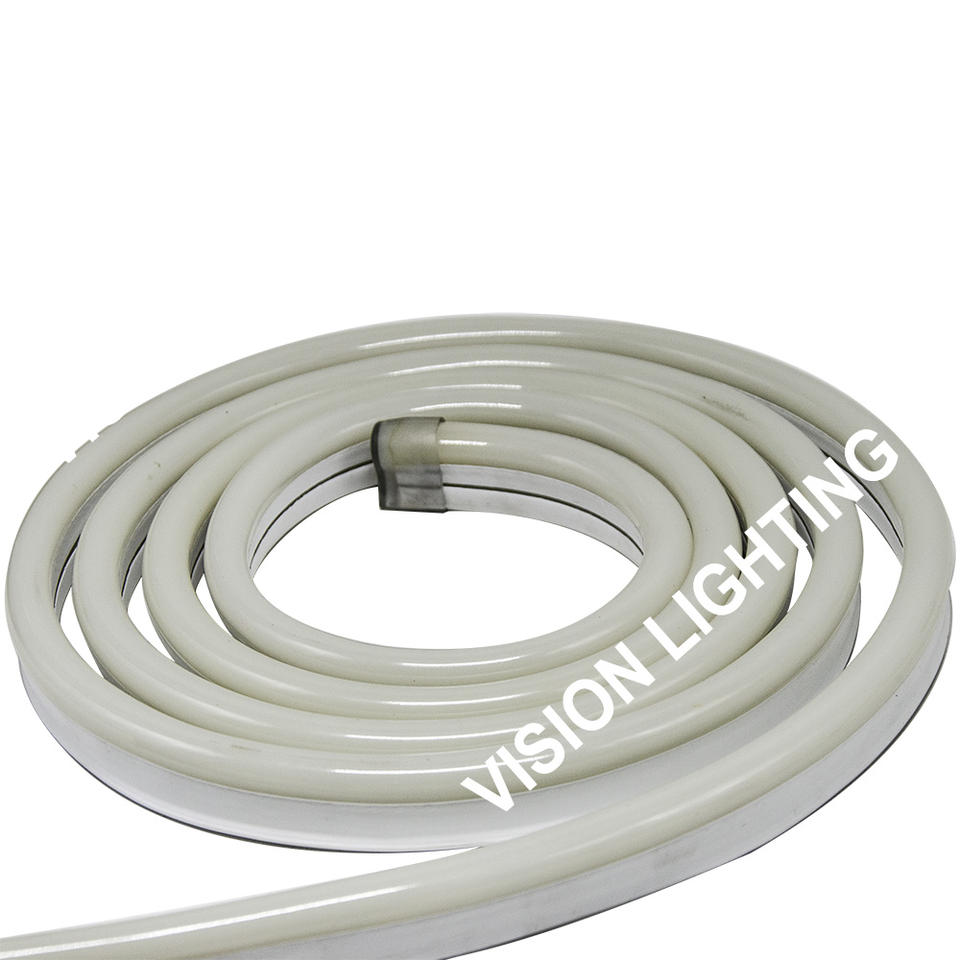 옥외 훈장을 위한 높은 광도 LED 지구 RGB 코드 네온 등