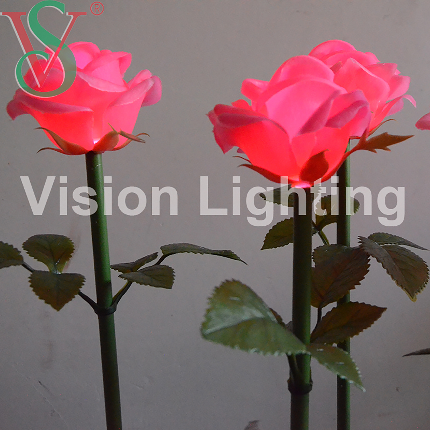 LED 꽃 빛 삽입 